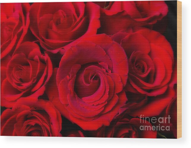 Anniversary Wood Print featuring the photograph Red Rose Bouquet Dream by James BO Insogna