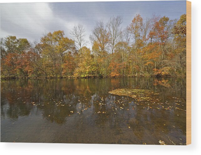 Autumn Wood Print featuring the photograph Reflection of Autumn Colors on the Canal by David Letts