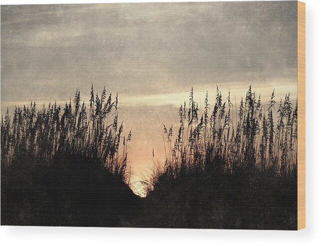 Dunes Wood Print featuring the photograph Rise Between The Dunes by Kim Galluzzo Wozniak