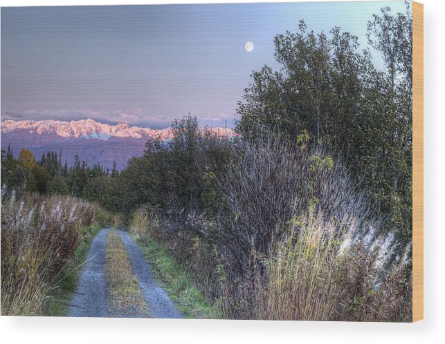 Dirt Road Wood Print featuring the photograph Rising Moon by Michele Cornelius