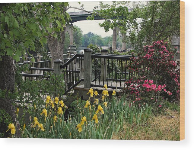 Conway Riverwalk Wood Print featuring the photograph Riverwalk in Spring by Sandra Anderson