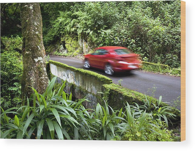 Automobile Wood Print featuring the photograph Road to Hana Maui by Jenna Szerlag