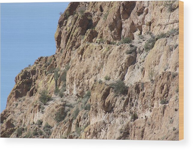 Sagouro Wood Print featuring the photograph Rocky Landscape by Kim Galluzzo