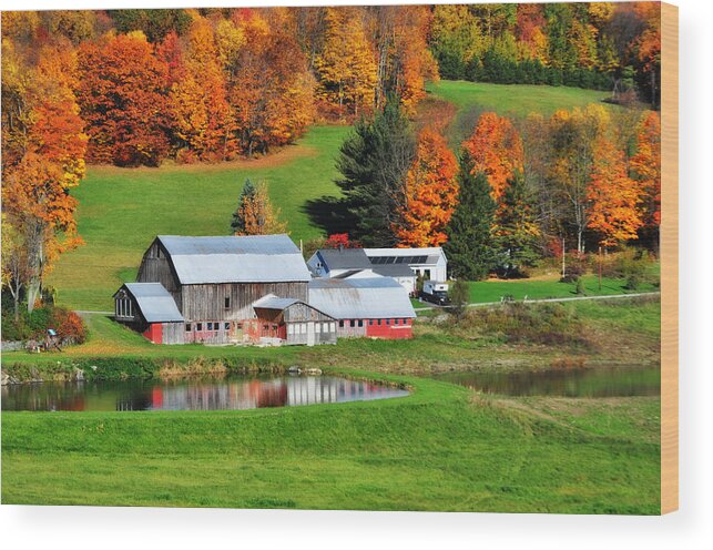 Barn Wood Print featuring the photograph Rustic Farm by Mary Frances