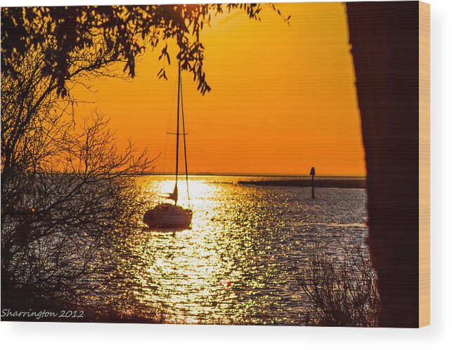 Sunset Wood Print featuring the photograph Sail Away by Shannon Harrington