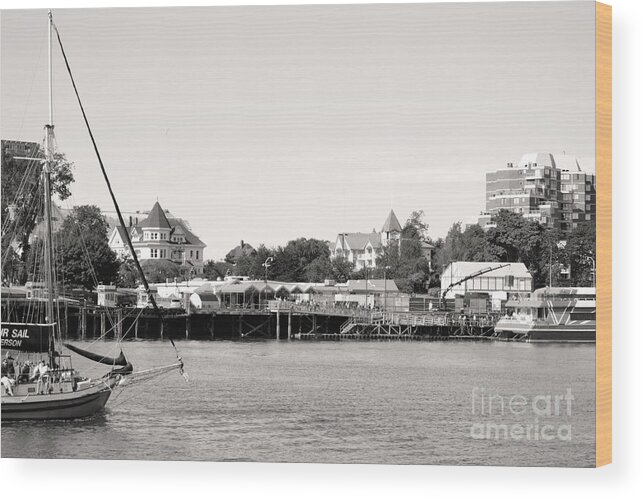 Dragon Boat Races Wood Print featuring the photograph Sail Away by Traci Cottingham