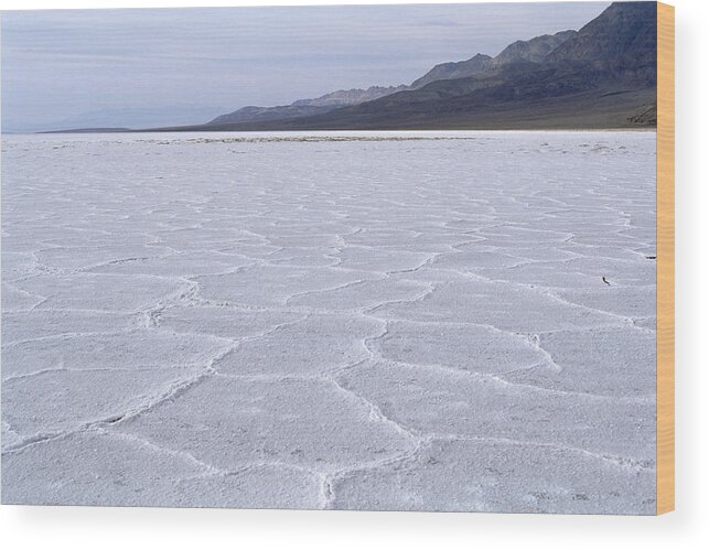 Mp Wood Print featuring the photograph Salt Flats At Badwater With Polygon by Konrad Wothe