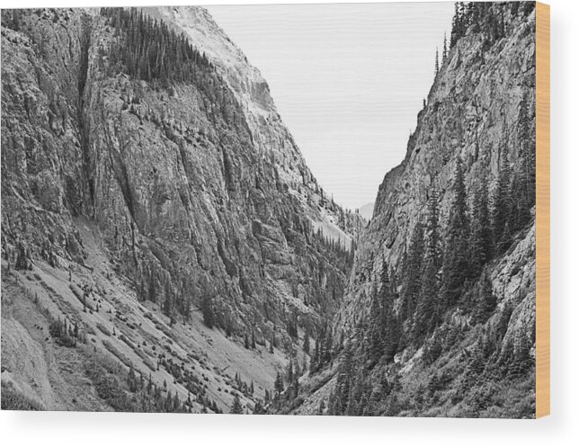 B&w Wood Print featuring the photograph San Juan Mountains by Melany Sarafis
