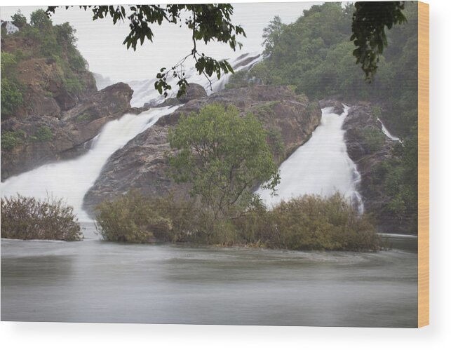 Shivanasamudra Falls Wood Print featuring the photograph Settled After the Fall by SAURAVphoto Online Store