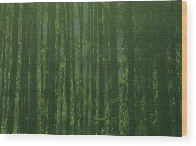 Landscape Wood Print featuring the photograph Seward Woods by Michael Nowotny