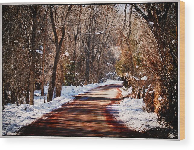 Road Wood Print featuring the photograph Shadowy Path by Lisa Spencer