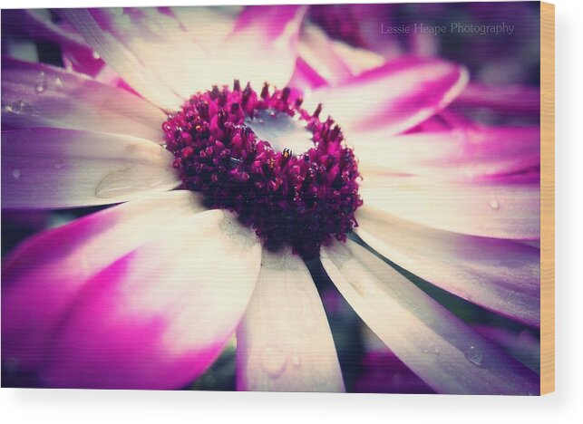 Macro Wood Print featuring the photograph Shallow Pools by Lessie Heape