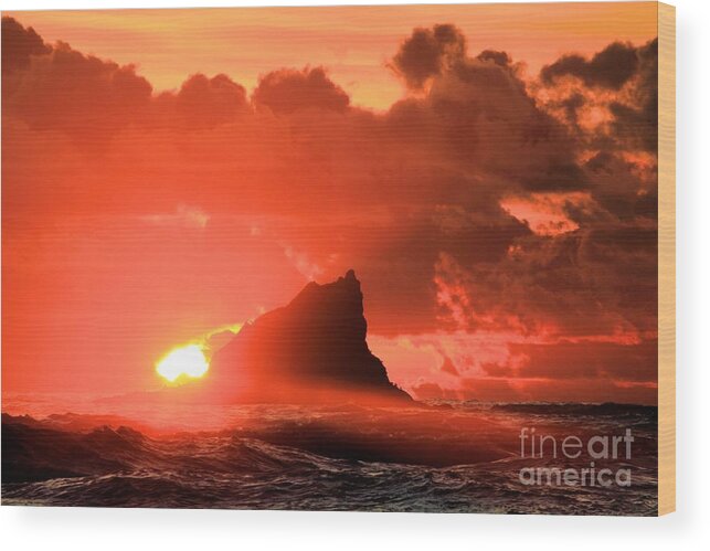 Olympic National Park Second Beach Wood Print featuring the photograph Shark Fin Soup by Adam Jewell