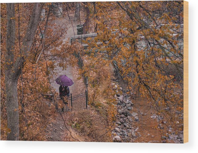 Autumn Wood Print featuring the photograph Alone Together by Tom Gort