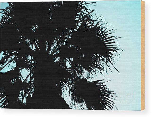 Palm Wood Print featuring the photograph Silhouette by Kim Pascu