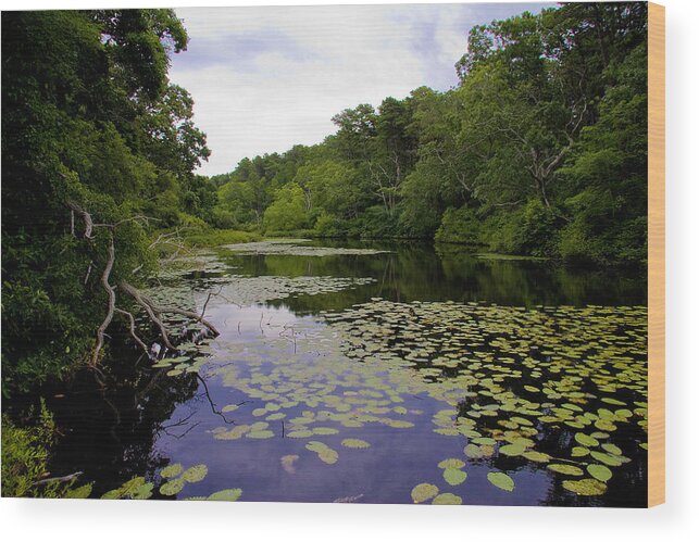 Landscape Wood Print featuring the photograph Silver Spring II by Michael Friedman