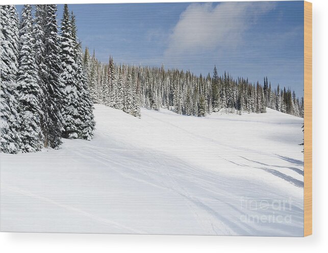 Silver Star Wood Print featuring the photograph SILVERSTAR MEADOW snow covered alpine meadow silver star by Andy Smy