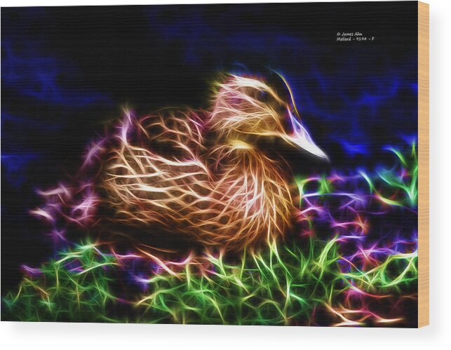 Mallard (anas Platyrhynchos) Wood Print featuring the digital art Smile Juvenile Mallard - Fractal by James Ahn