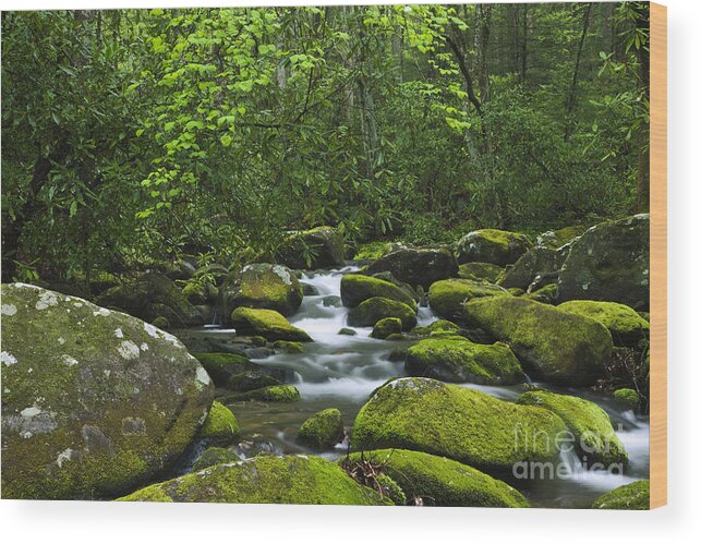 Smoky Mountains Wood Print featuring the photograph Smoky Mountains Waterfall by Dennis Flaherty and Photo Researchers