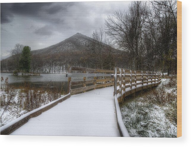Snow Wood Print featuring the photograph Snow Covered Pathway 3 by Steve Hurt