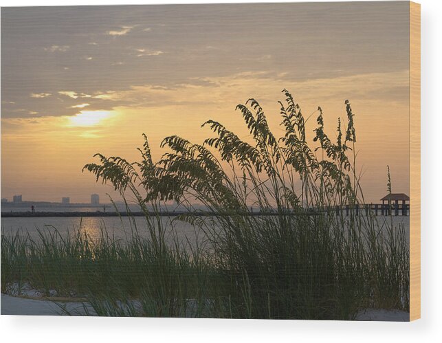 Landscape Wood Print featuring the photograph Softly Swaying by Diane Carlisle