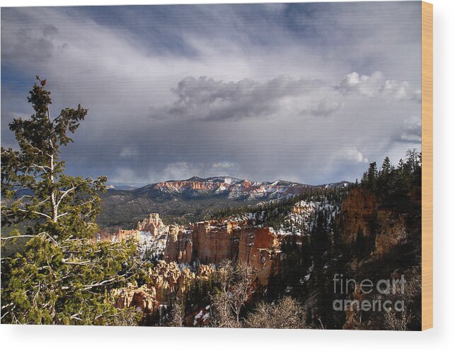 bryce Canyon Wood Print featuring the photograph South Rim Bryce Canyon by Butch Lombardi
