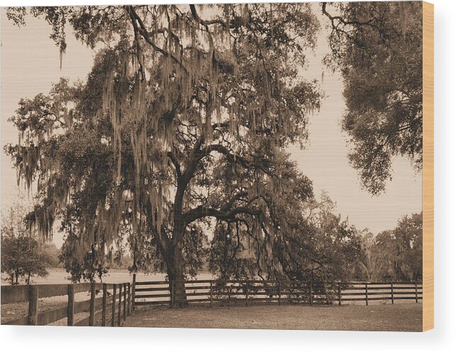 Southern Wood Print featuring the photograph Southern Charm by Kristin Elmquist