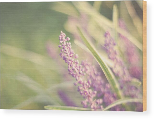 Soft Purple Flower Photography Wood Print featuring the photograph Speak Softly by Amy Tyler
