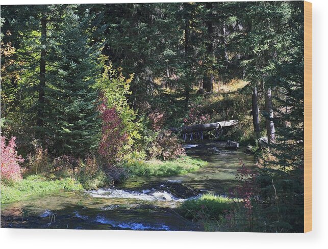 Landscape Wood Print featuring the photograph Spearfish Canyon by Donald J Gray