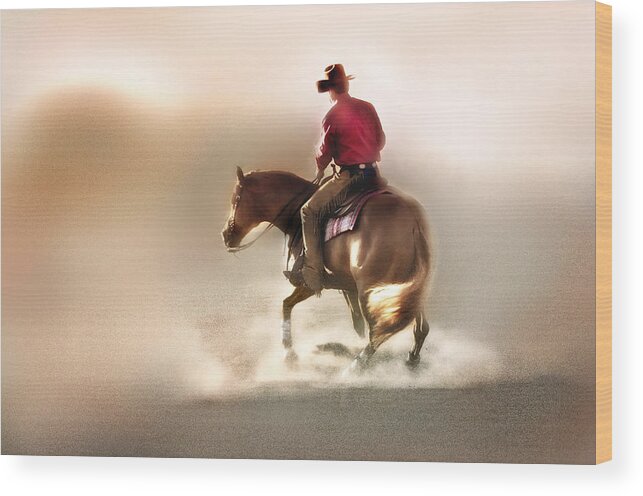 Horses Wood Print featuring the photograph Spinner by Pamela Steege