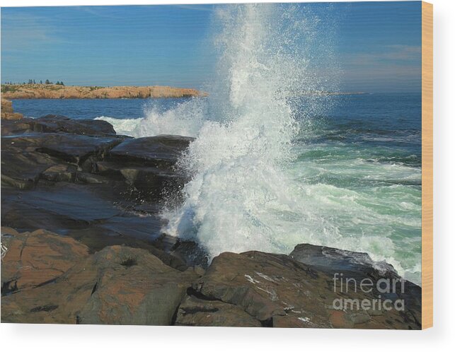 Acadia National Park Wood Print featuring the photograph Splash by Adam Jewell