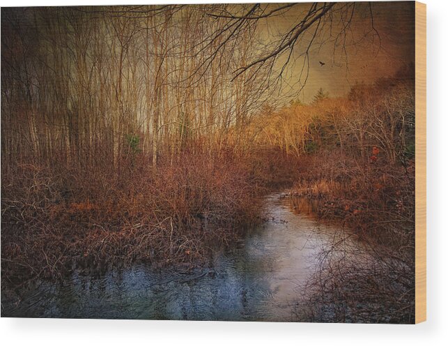 Water Brook Wood Print featuring the photograph Still by the Stream by Robin-Lee Vieira