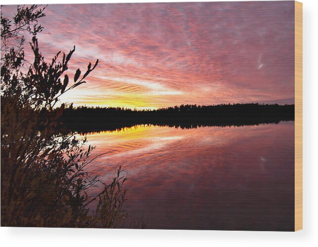 Sunset Wood Print featuring the photograph Summer Sunset by Valerie Pond