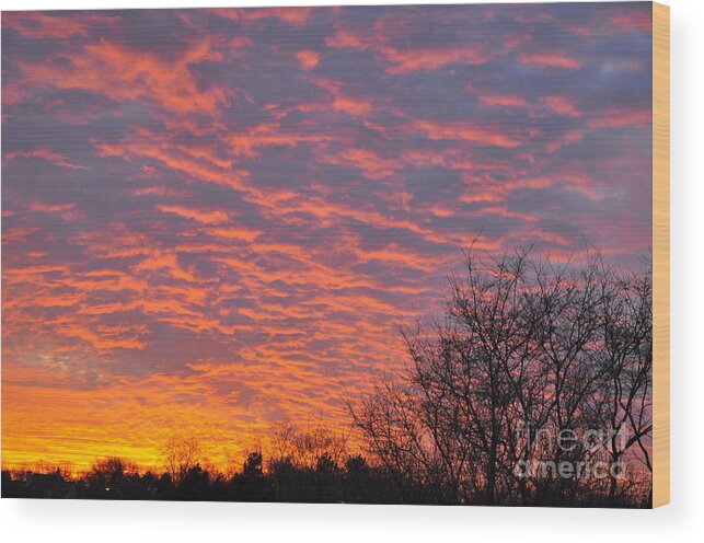 Red Sky Wood Print featuring the photograph Sun explosion by Dejan Jovanovic