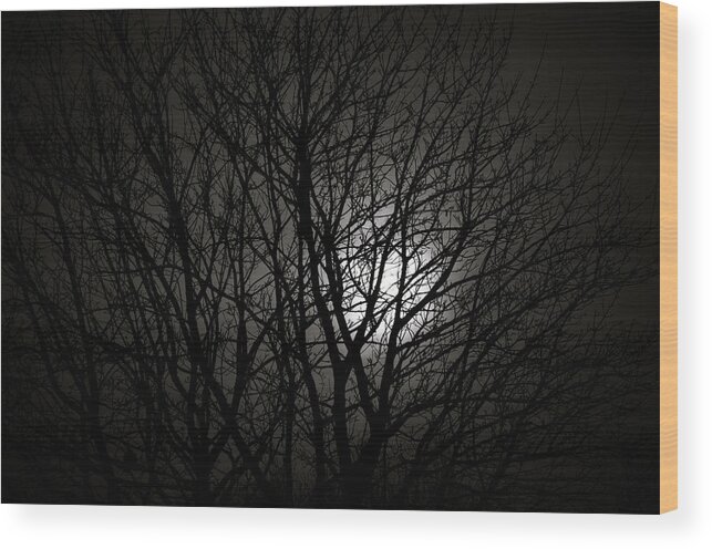 Silhouette Wood Print featuring the photograph Sunny Moon II by Lenny Carter
