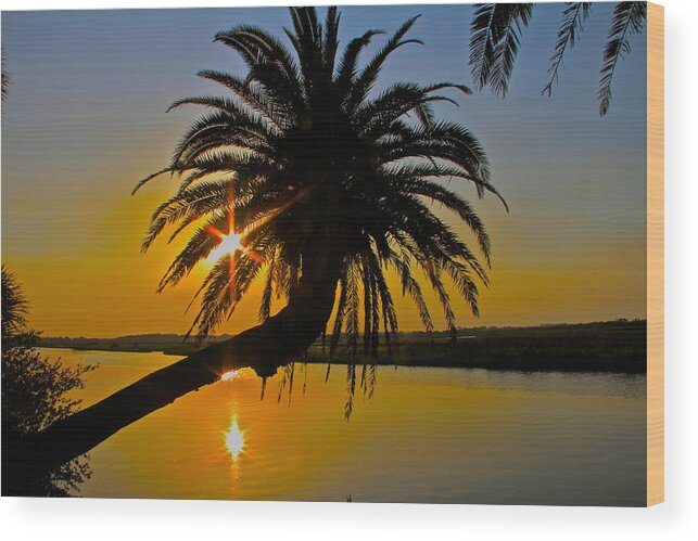 Loop Flagler Beach Palm Tree Sunrise Starburst Wood Print featuring the photograph Sunrise On The Loop by Alice Gipson