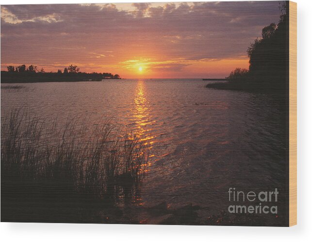Bronstein Wood Print featuring the photograph Sunset on Eagle Harbor by Sandra Bronstein