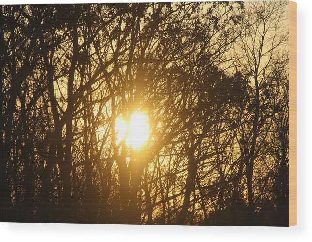 Nature Wood Print featuring the photograph Sunset Silhouettes by Loretta Pokorny