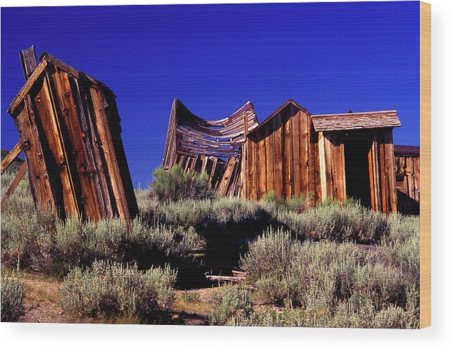 Bodie Wood Print featuring the photograph Support Your Neighborhood Outhouse by Paul W Faust - Impressions of Light