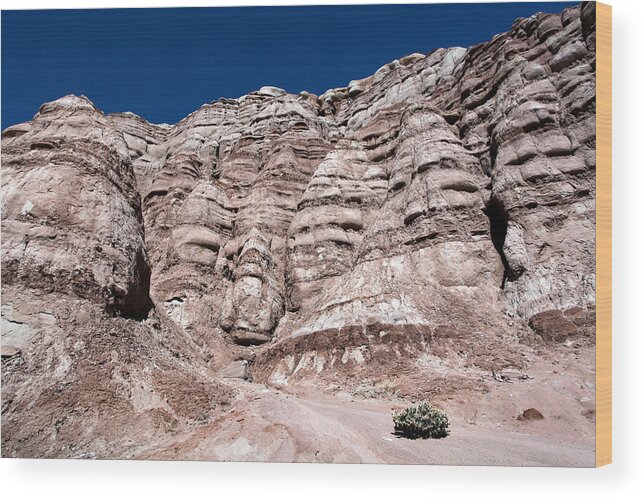 Escalante Wood Print featuring the photograph Survival in the Wilderness by Karen Lee Ensley