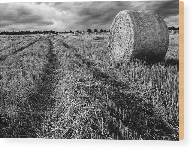 Texas Wood Print featuring the photograph Texas Hill Country Hay Field by Paul Huchton