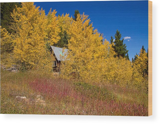 Autumn Wood Print featuring the photograph The Cabin by James BO Insogna