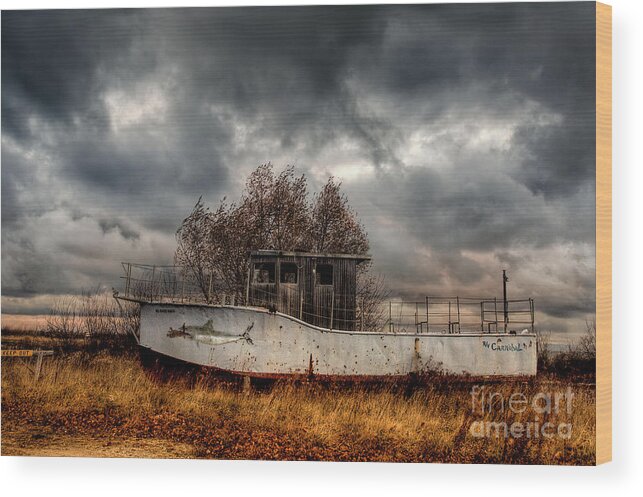 Boat Wood Print featuring the photograph The Cannibal by Terry Doyle