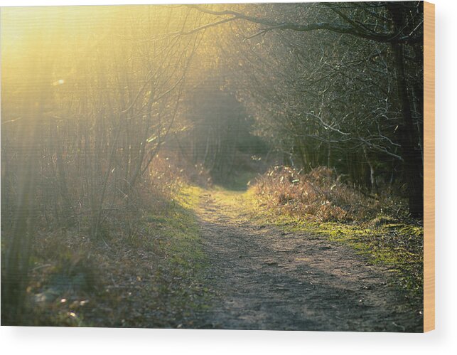 Surreal Wood Print featuring the photograph The Glowing Path by Justin Albrecht