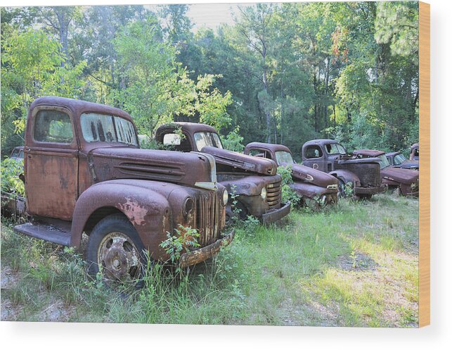 Vehicles Wood Print featuring the photograph The Graveyard by Jan Amiss Photography