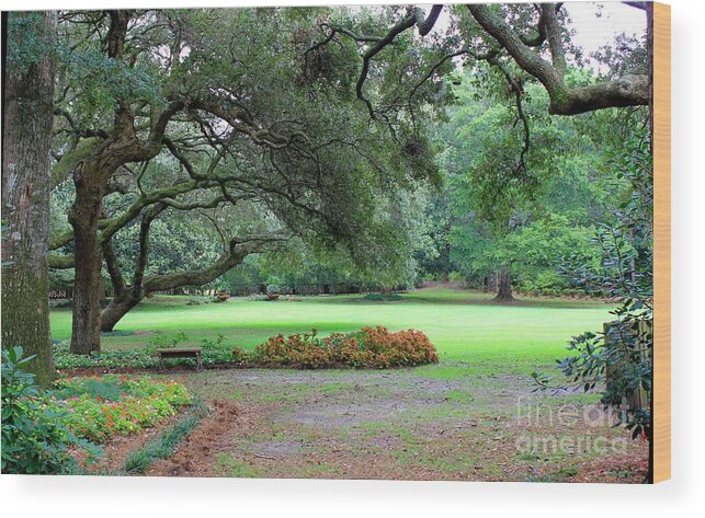 Lawn Wood Print featuring the photograph The Great Lawn by Laurinda Bowling