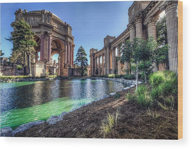 Palace Wood Print featuring the photograph The Palace of Fine Arts by Everet Regal