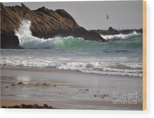 Crashing Waves Wood Print featuring the photograph The Point by Johanne Peale