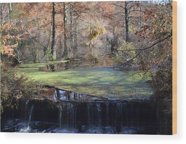 Waterfall Wood Print featuring the photograph The side of the road by Kelly Reber