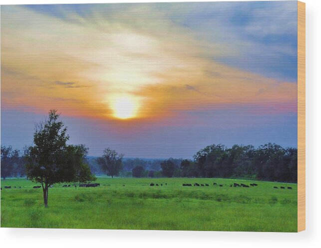 Landscapes Wood Print featuring the photograph The Sky Was Drunk by Jan Amiss Photography